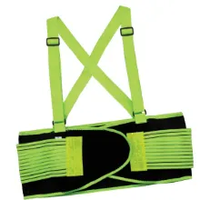 Arborist Back Support